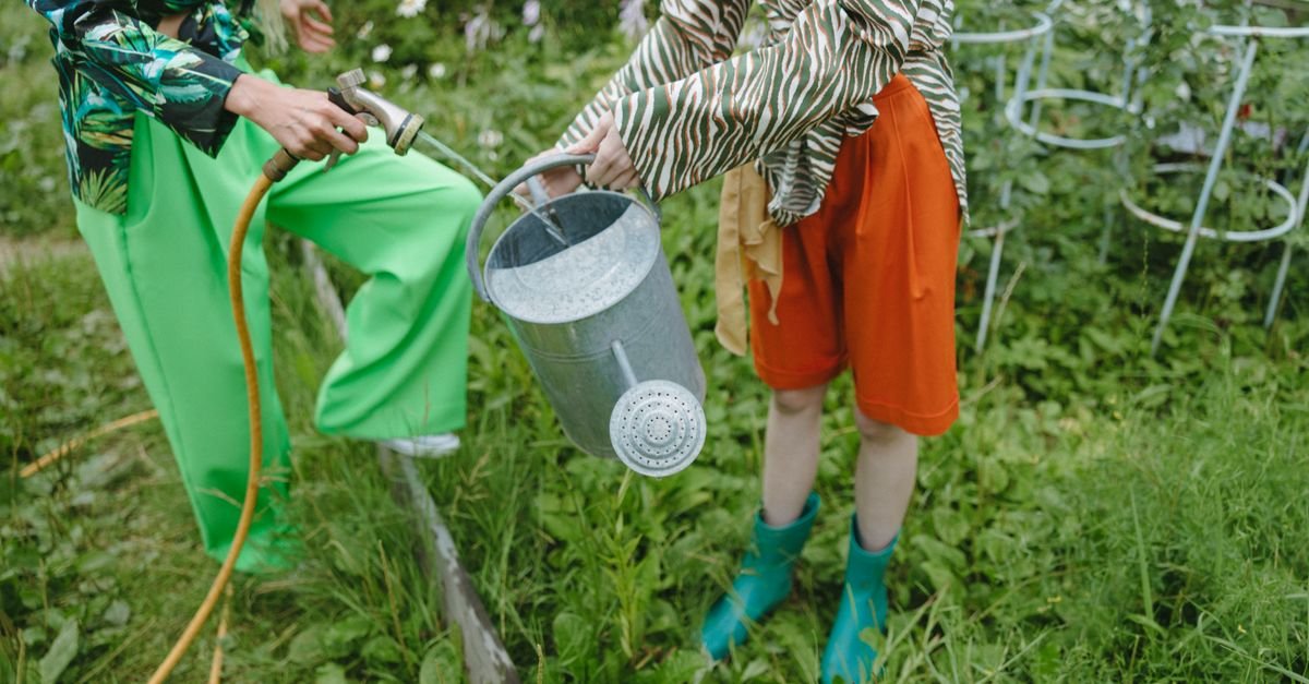 Two people filling a watering can from a garden hose in a sunny garden, the timed-fill method used to measure a tap's gallons per minute