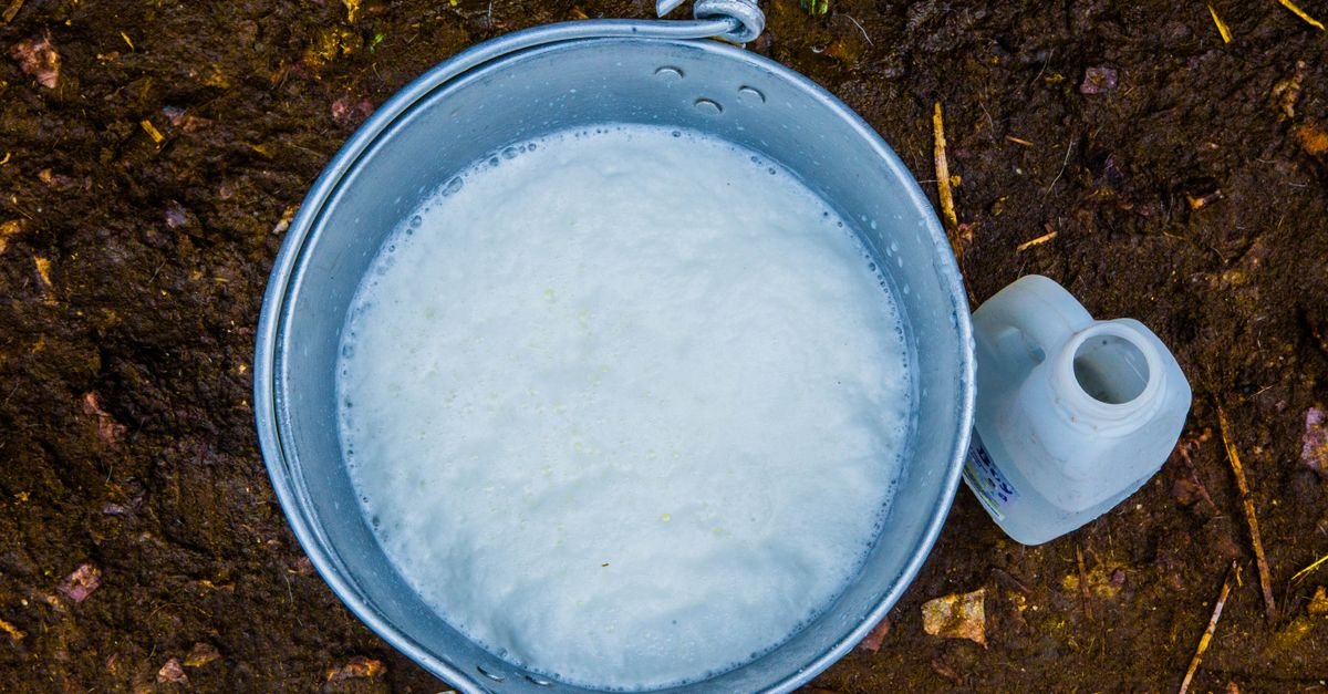 Metal bucket of sudsy water standing on wet ground next to an empty container