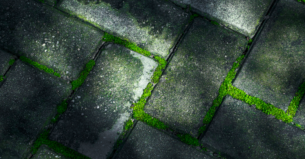 Weathered concrete and paving with moss growing in the joints