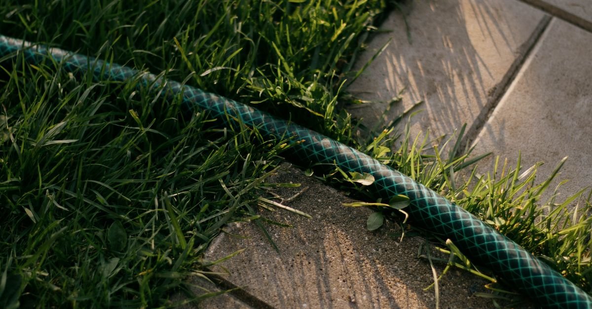 Garden hose stretched across grass beside a tiled patio in bright sunlight