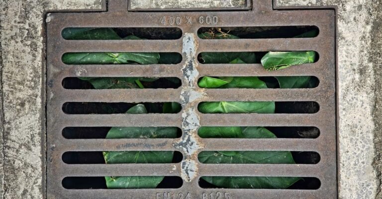 A metal street drainage grate set into concrete with green plants growing up through the bars