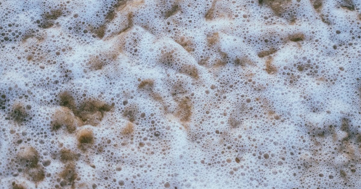 Macro view of foam and bubbles sitting on a water surface where air meets liquid