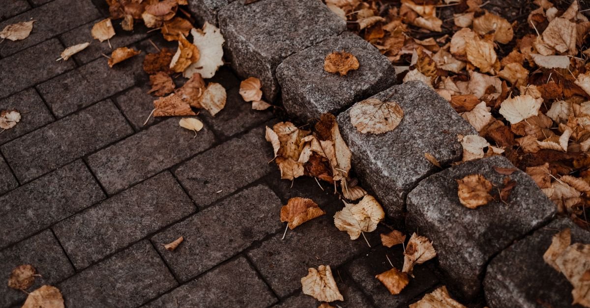 Dried brown leaves scattered across stone paving where staining collects in the joints