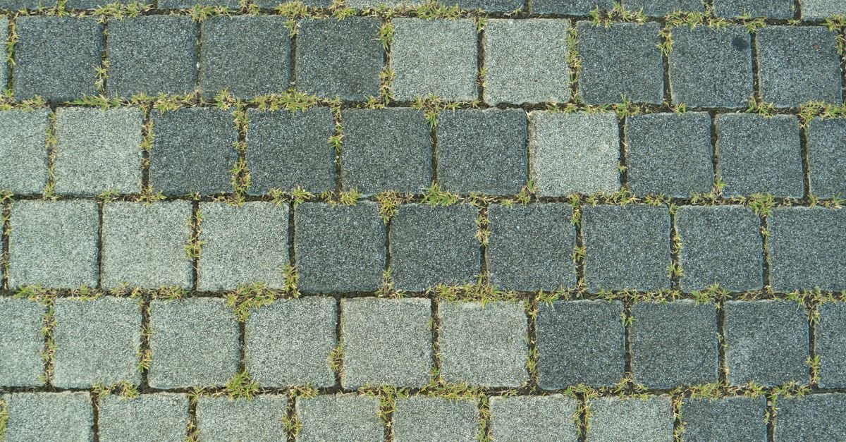 Close-up of a stone paved sidewalk with grass growing up between the stones