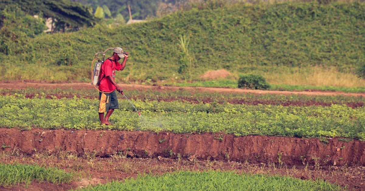 A worker applying solution at ground level with a backpack pump sprayer