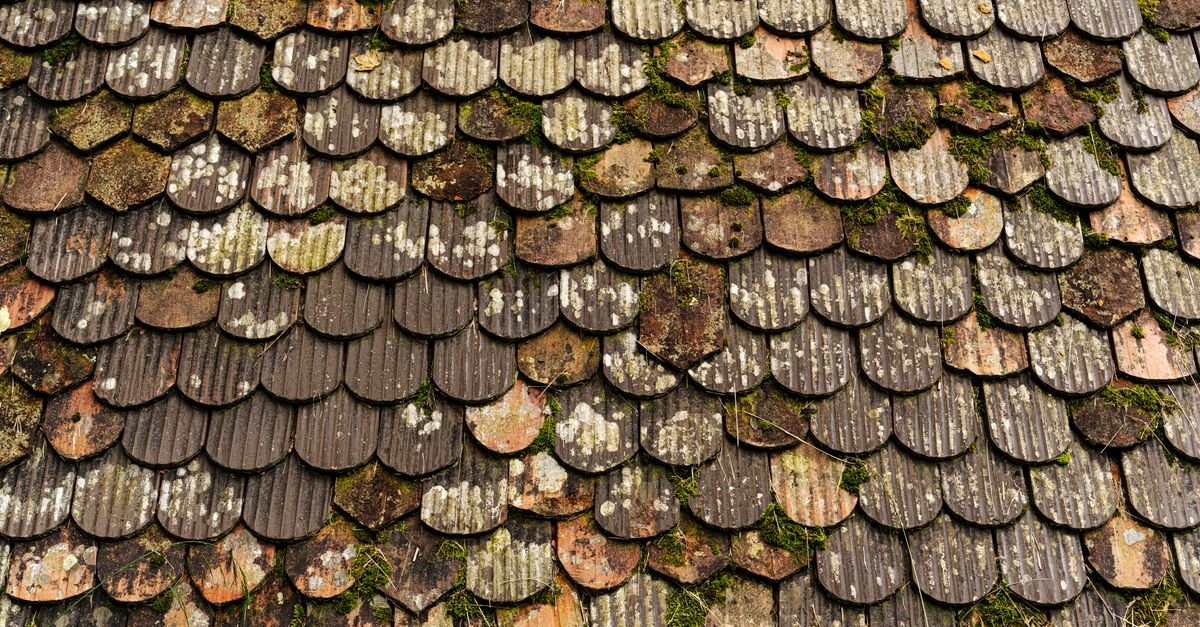 Weathered roof tiles with moss growing along the laps, the growth that low-pressure treatment kills