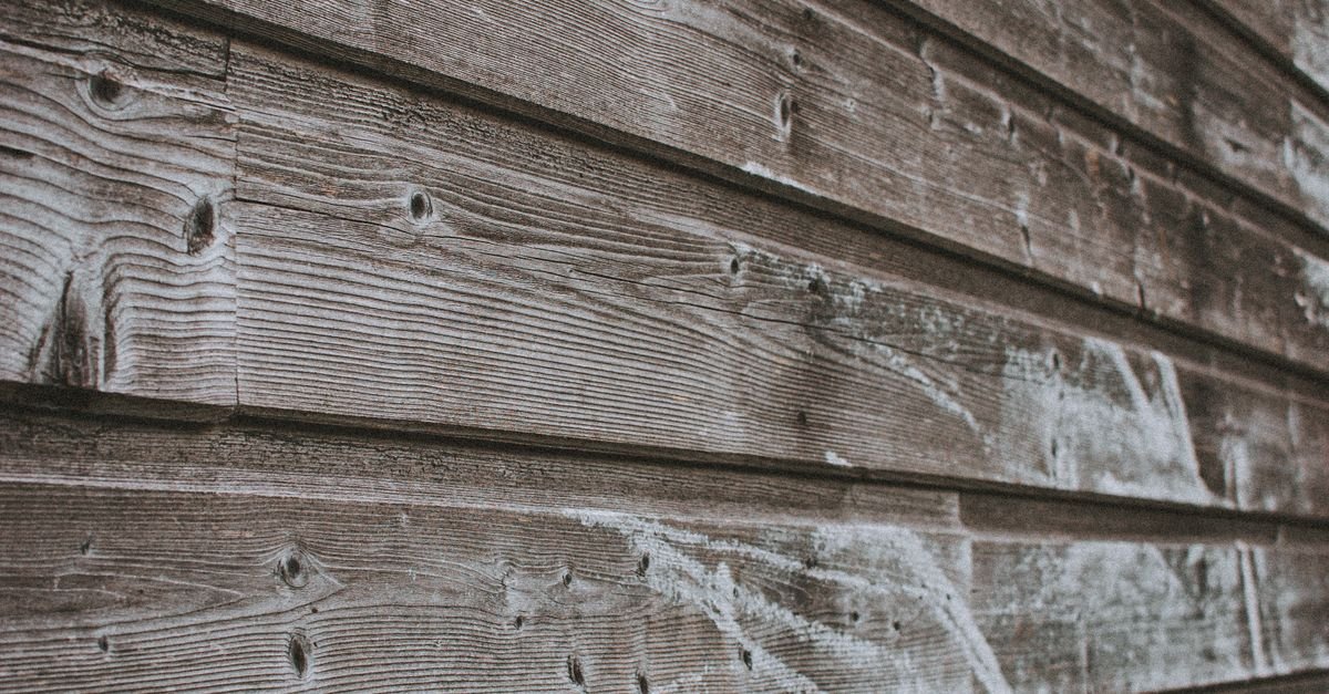 The weathered wall of a timber-clad house covered in dark streaks and biological staining