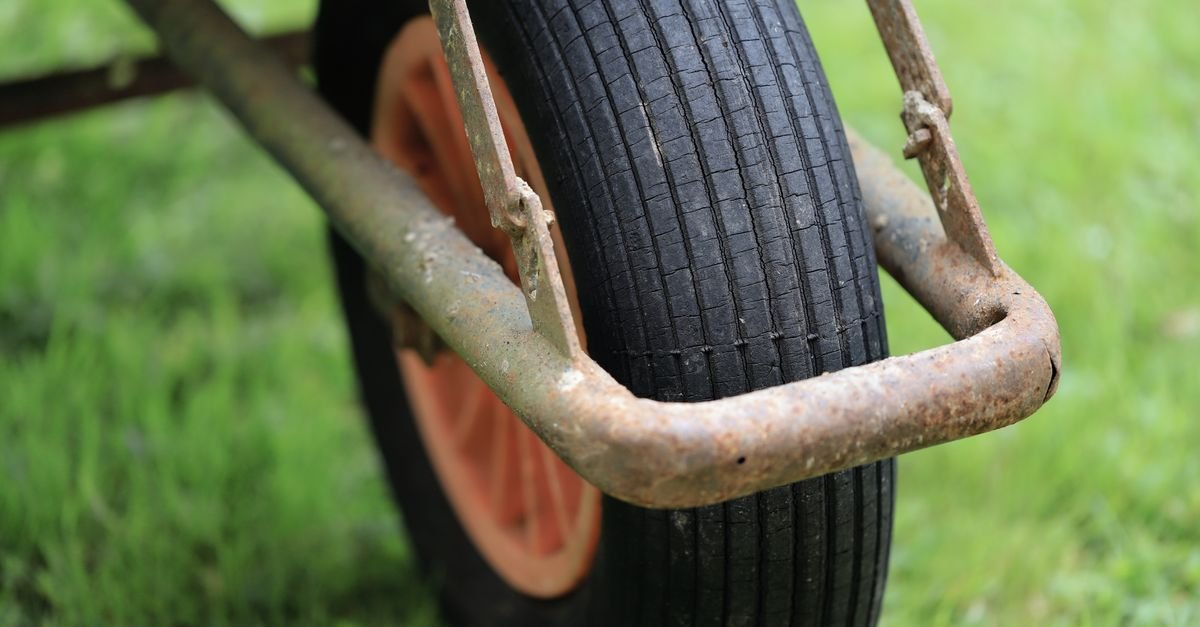 A rusty pneumatic wheelbarrow tyre resting on long green grass