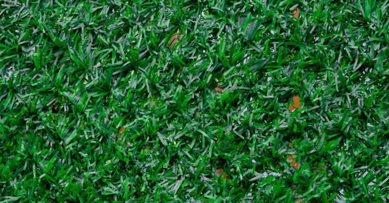 Close-up of dense synthetic grass fibres standing upright on an artificial lawn
