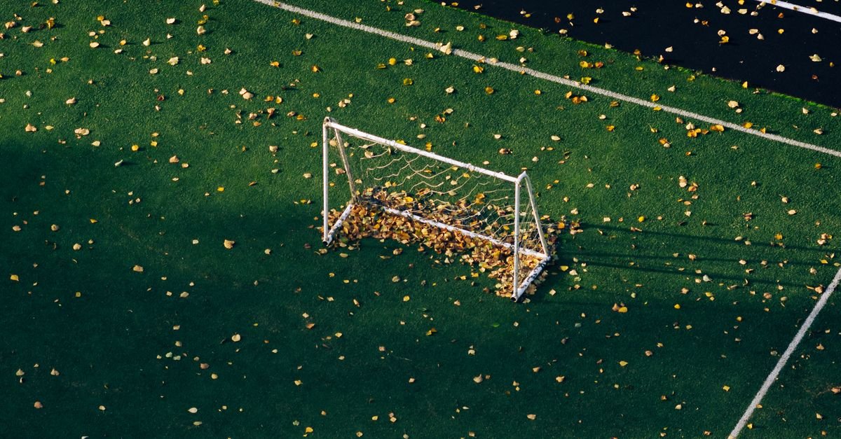 Autumn leaves scattered across a green artificial sports field around a goal